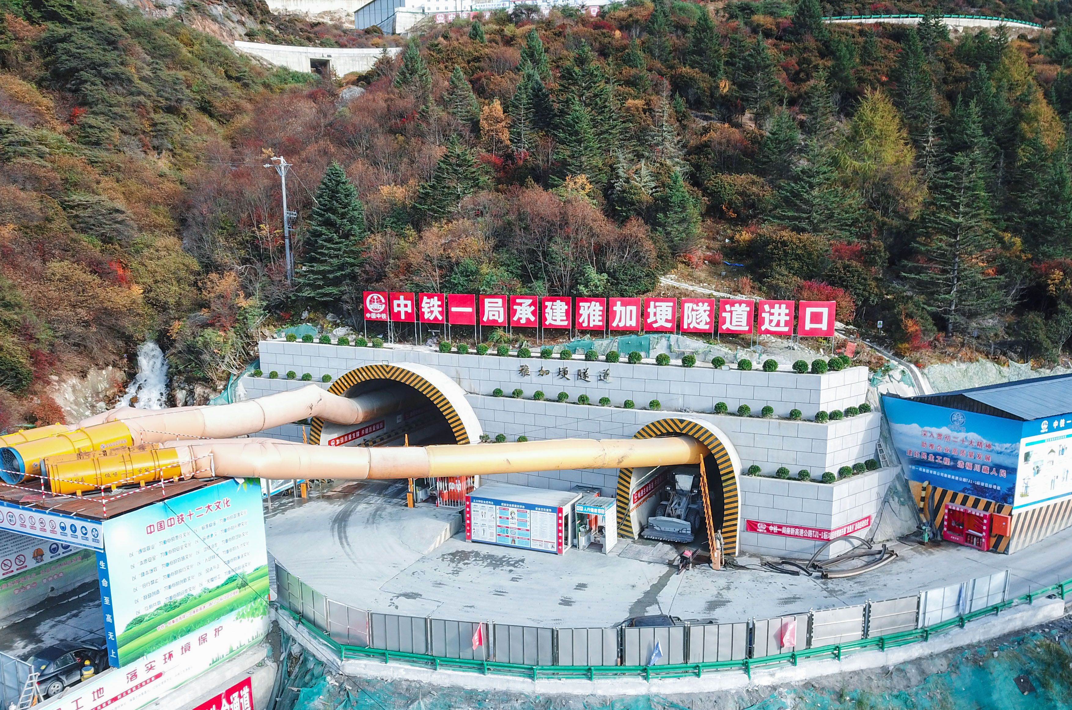 康新 康新