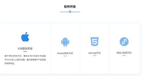 石家莊專業(yè)軟件開發(fā)