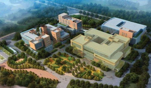 重磅 這個黃金地段將打造合成生物制造轉化加速新標桿