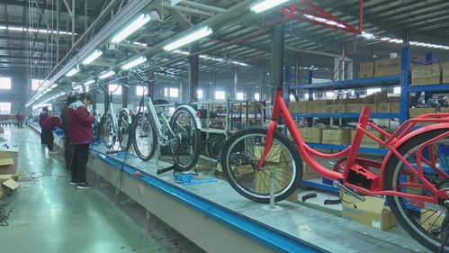 活力新衢州 美麗大花園 衢州 加大產(chǎn)品創(chuàng)新力度 不斷開拓國際市場(chǎng)